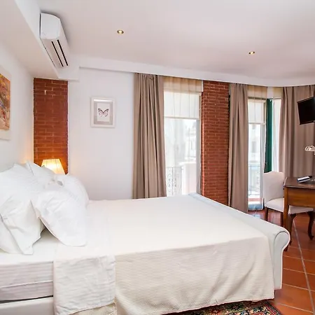 Danezis Stars Boutique (adults Only) 4*